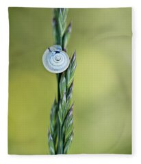 Designs Similar to Snail on Grass #3