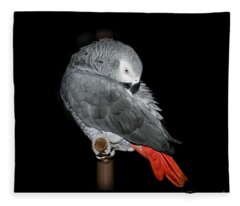 African Gray Parrot Fleece Blankets