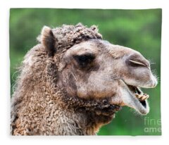Bactrian Camel Fleece Blankets