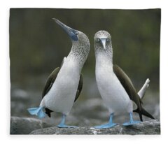 Galapagos Islands Fleece Blankets