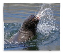 Cape Fur Seal Fleece Blankets