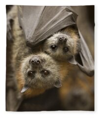 Fruit Bat Fleece Blankets