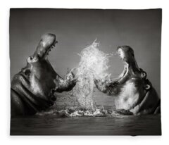 Hippopotamus Fleece Blankets