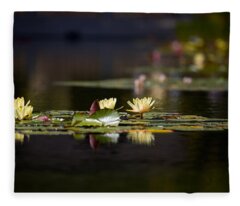 Designs Similar to Lily Pond by Peter Tellone