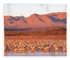 Riparian Habitat Fleece Blankets