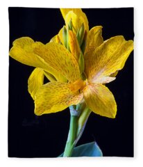 Yellow Canna Lily Fleece Blankets