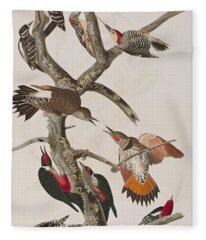 Red-bellied Woodpecker Fleece Blankets