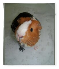 Designs Similar to Guinea Pig #13 by Jackie Russo