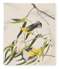 Prothonotary Warbler Fleece Blankets