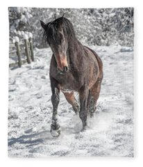 Designs Similar to Equine Snowy Frolic 