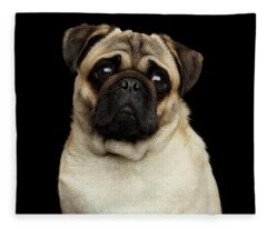 Black Pug Fleece Blankets