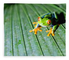 Red Eyed Tree Frog Fleece Blankets