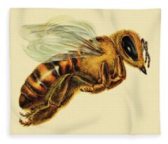 Hornet Fleece Blankets