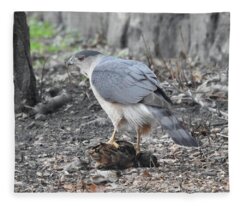 Designs Similar to Cooper's Hawk with Woodcock