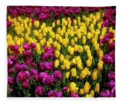 Designs Similar to Yellow Star Tulips by Garry Gay