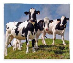 Cow Fleece Blankets