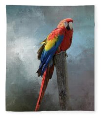Red And Green Macaw Fleece Blankets
