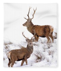 Deer In Snow Fleece Blankets