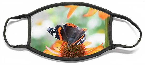Red Admiral butterfly, Vanessa atalanta, on Chrysanthemum flowers Coffee Mug  by Neale And Judith Clark - Neale And Judith Clark - Artist Website