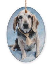 Dog Rescue Holiday Ornaments