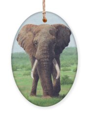 Elephant Paintings Holiday Ornaments