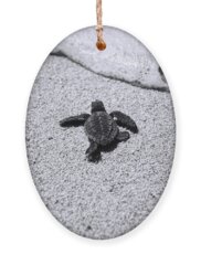 Sea Turtle Holiday Ornaments