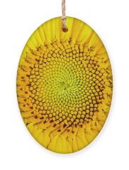 Sunflower Seeds Holiday Ornaments