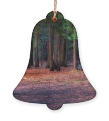 National Forest Holiday Ornaments