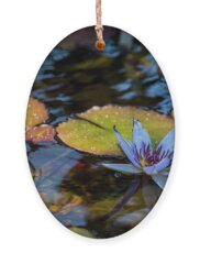 Tropical Water Lily Holiday Ornaments