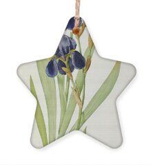 Iris Holiday Ornaments