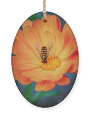 Hoverfly Holiday Ornaments