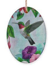 Broad Tailed Hummingbird Holiday Ornaments