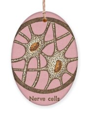 Nerve Cell Holiday Ornaments
