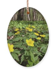 Yellow Wood Anemone Holiday Ornaments