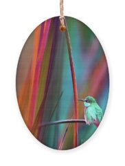 Bee Eater Holiday Ornaments