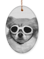 Dog At Play Holiday Ornaments