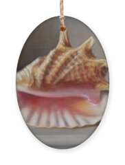 Conch Shell Holiday Ornaments