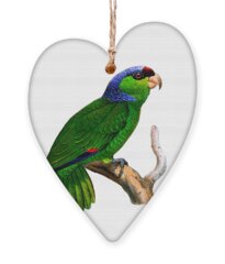 Parakeet Holiday Ornaments