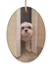 Toy Maltese Holiday Ornaments