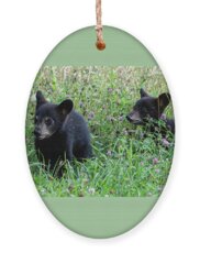 Cubbie Holiday Ornaments