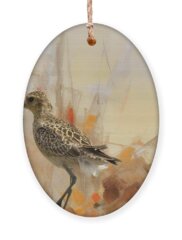 Plover Holiday Ornaments
