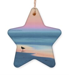 Salt Water Holiday Ornaments