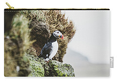 Puffin Carry-All Pouches