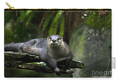 Northern River Otter Zip Pouches