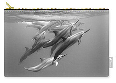 Spinner Dolphins Zip Pouches