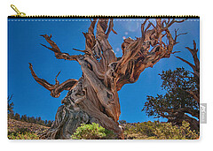 Pine Trees Carry-All Pouches