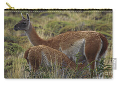 Designs Similar to Guanaco by Art Wolfe
