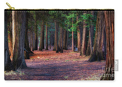 Redwood Forest Carry-All Pouches