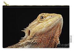 Reptile Carry-All Pouches