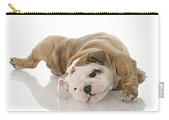 English Bull Dogs Zip Pouches
